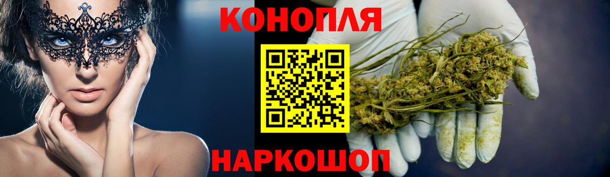 Конопля гибрид Камень-на-Оби